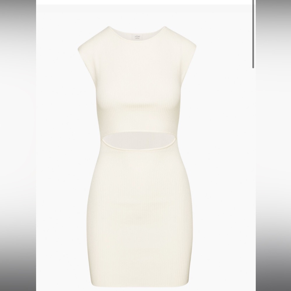 Aritzia, Cut-out knit dress